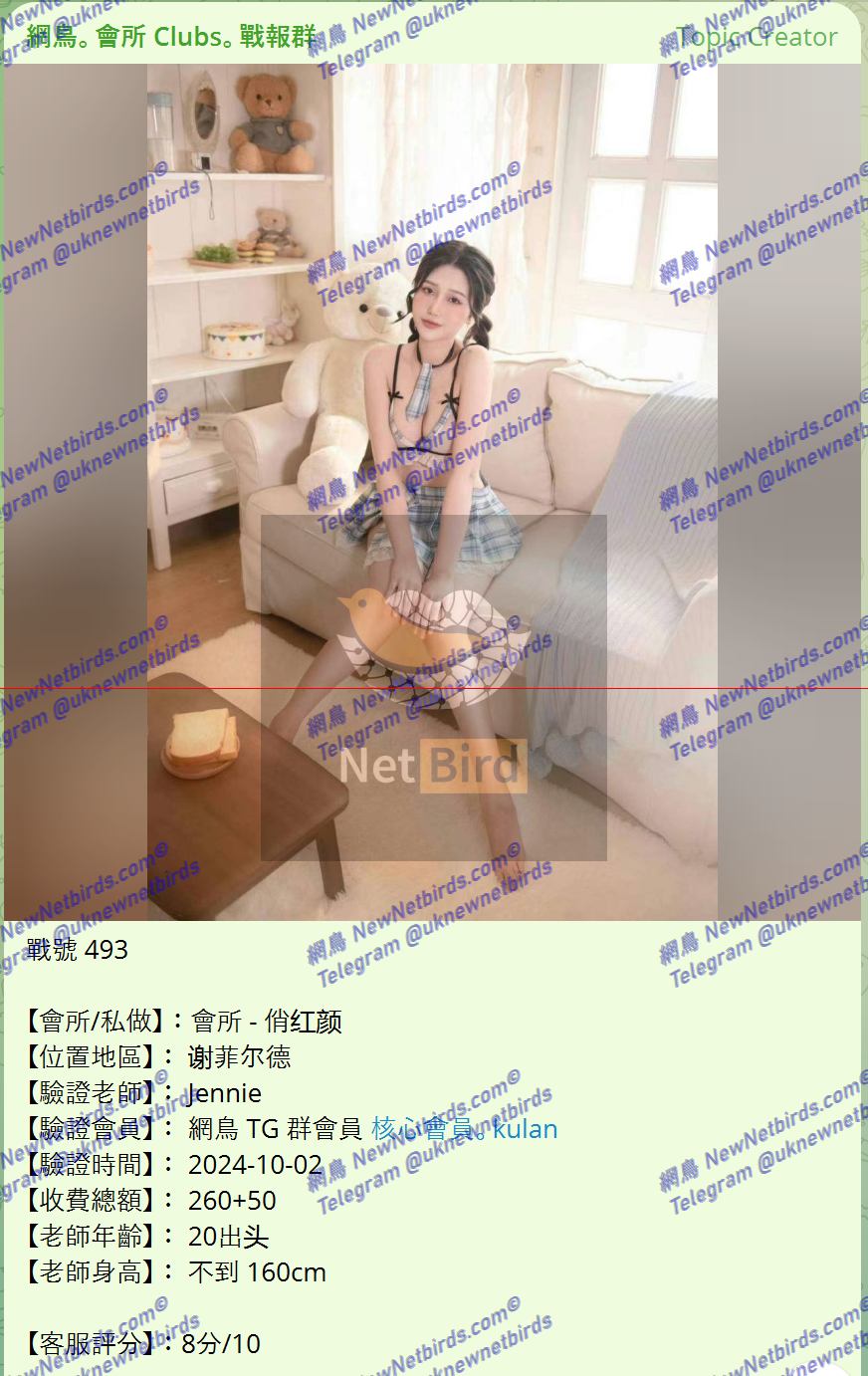 戰號 493 1.png